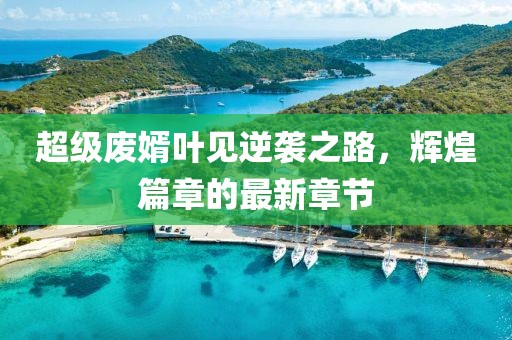 超级废婿叶见逆袭之路，辉煌篇章的最新章节