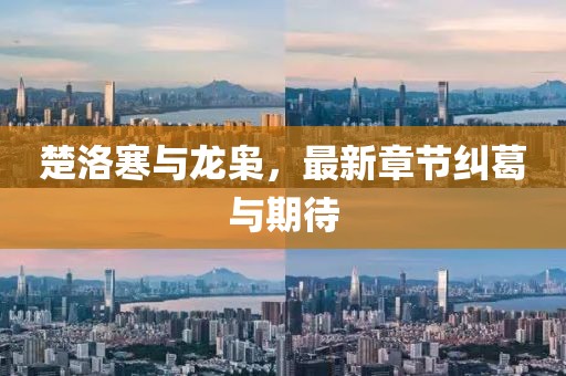 楚洛寒与龙枭，最新章节纠葛与期待