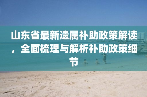 山东省最新遗属补助政策解读，全面梳理与解析补助政策细节