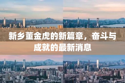 新乡董金虎的新篇章，奋斗与成就的最新消息