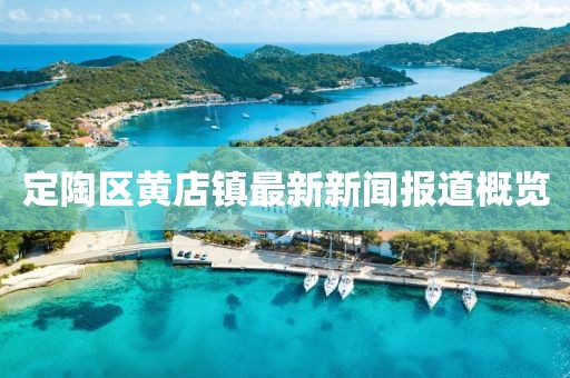 定陶区黄店镇最新新闻报道概览