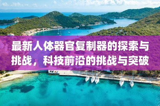 最新人体器官复制器的探索与挑战，科技前沿的挑战与突破