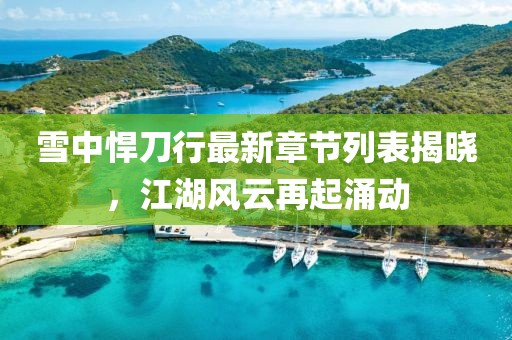 雪中悍刀行最新章节列表揭晓，江湖风云再起涌动