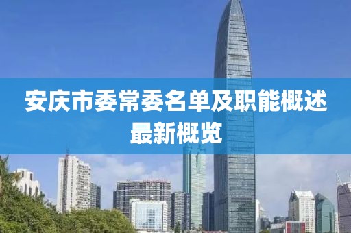 安庆市委常委名单及职能概述最新概览