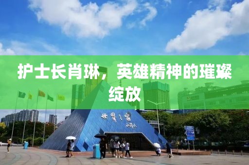 护士长肖琳，英雄精神的璀璨绽放