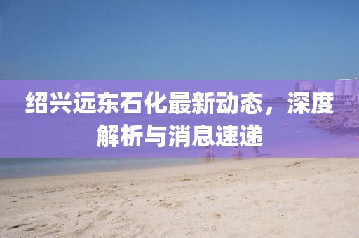 绍兴远东石化最新动态，深度解析与消息速递
