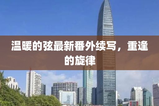 温暖的弦最新番外续写，重逢的旋律