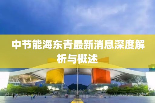 中节能海东青最新消息深度解析与概述