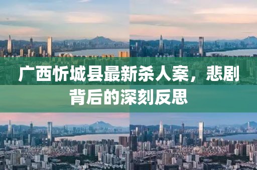 广西忻城县最新杀人案，悲剧背后的深刻反思