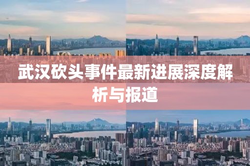 武汉砍头事件最新进展深度解析与报道