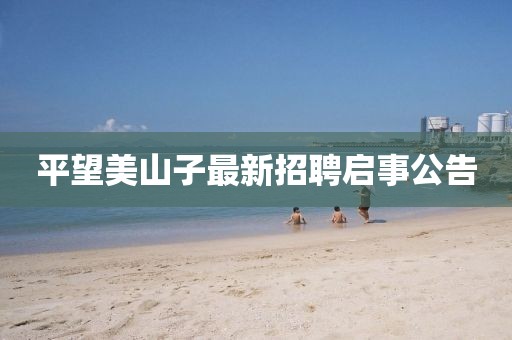 平望美山子最新招聘启事公告
