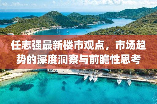 任志强最新楼市观点，市场趋势的深度洞察与前瞻性思考