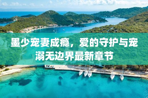 墨少宠妻成瘾，爱的守护与宠溺无边界最新章节