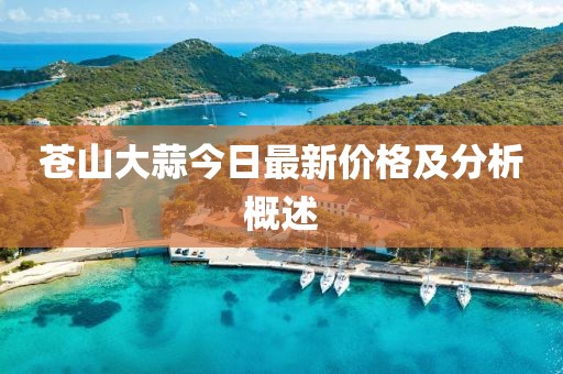 苍山大蒜今日最新价格及分析概述
