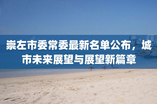 崇左市委常委最新名单公布，城市未来展望与展望新篇章