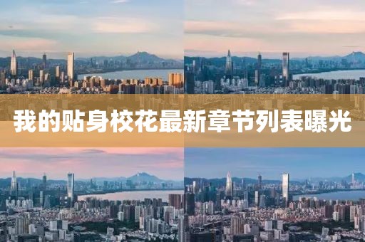 我的贴身校花最新章节列表曝光