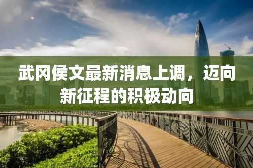 武冈侯文最新消息上调，迈向新征程的积极动向