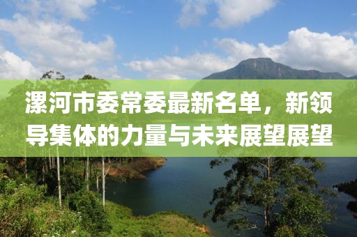 漯河市委常委最新名单，新领导集体的力量与未来展望展望