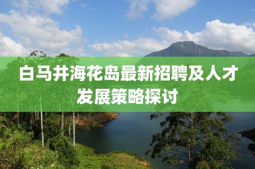 白马井海花岛最新招聘及人才发展策略探讨