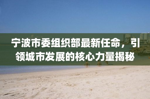 宁波市委组织部最新任命，引领城市发展的核心力量揭秘