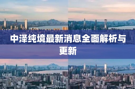 中泽纯境最新消息全面解析与更新