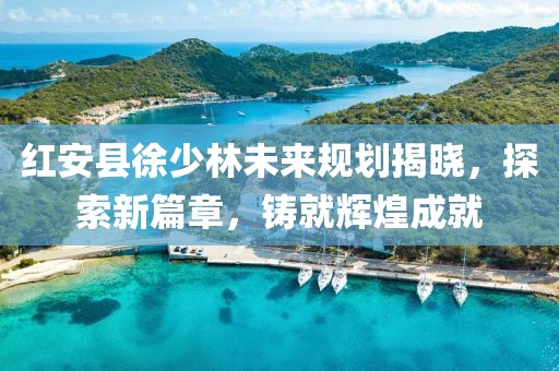 红安县徐少林未来规划揭晓，探索新篇章，铸就辉煌成就