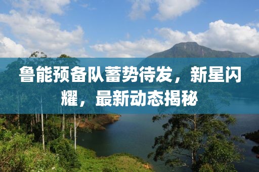 鲁能预备队蓄势待发，新星闪耀，最新动态揭秘