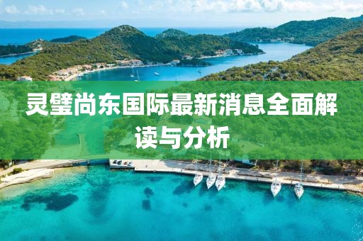 灵璧尚东国际最新消息全面解读与分析