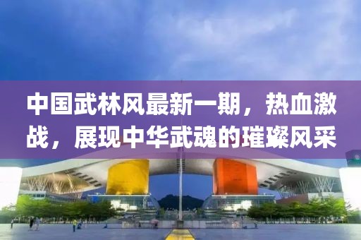 中国武林风最新一期，热血激战，展现中华武魂的璀璨风采