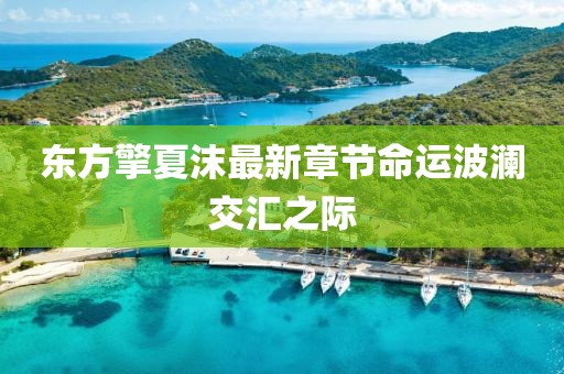 东方擎夏沫最新章节命运波澜交汇之际