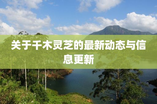 关于千木灵芝的最新动态与信息更新