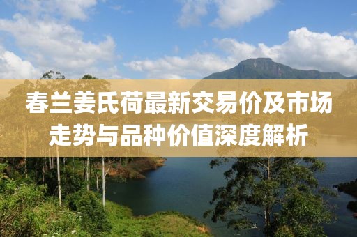春兰姜氏荷最新交易价及市场走势与品种价值深度解析