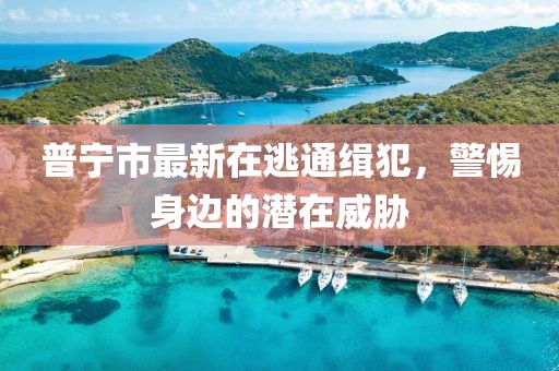 普宁市最新在逃通缉犯，警惕身边的潜在威胁