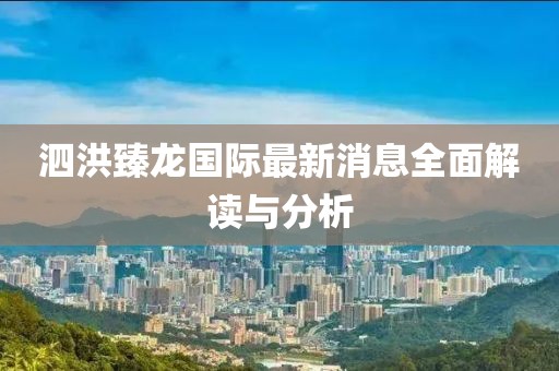 泗洪臻龙国际最新消息全面解读与分析