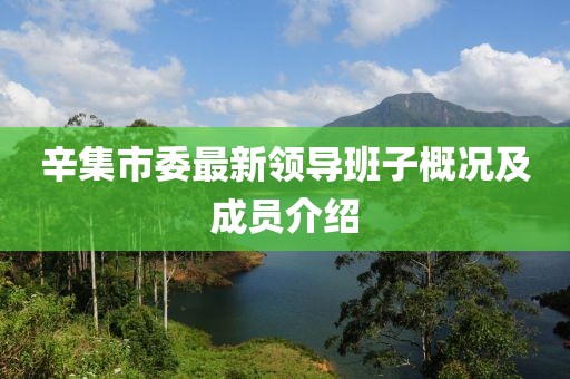 辛集市委最新领导班子概况及成员介绍