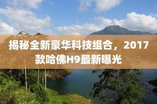 揭秘全新豪华科技组合，2017款哈佛H9最新曝光