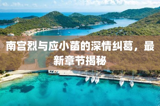 南宫烈与应小菡的深情纠葛，最新章节揭秘