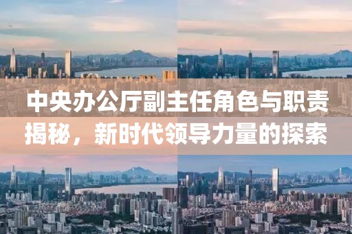 中央办公厅副主任角色与职责揭秘，新时代领导力量的探索