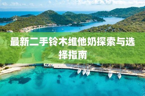 最新二手铃木维他奶探索与选择指南