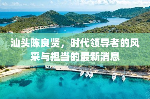 汕头陈良贤，时代领导者的风采与担当的最新消息