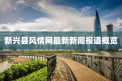 新兴县风情网最新新闻报道概览