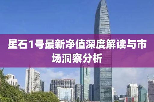 星石1号最新净值深度解读与市场洞察分析