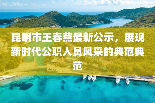 昆明市王春燕最新公示，展现新时代公职人员风采的典范典范