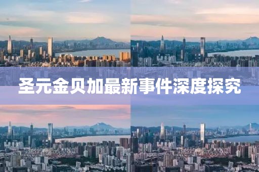 圣元金贝加最新事件深度探究