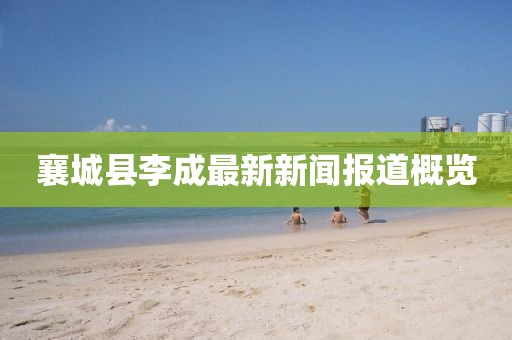 襄城县李成最新新闻报道概览