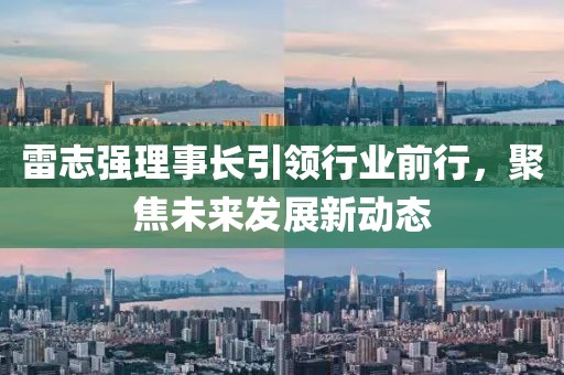 雷志强理事长引领行业前行，聚焦未来发展新动态