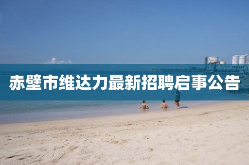 赤壁市维达力最新招聘启事公告