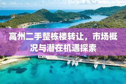 高州二手整栋楼转让，市场概况与潜在机遇探索