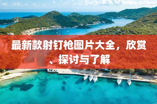 最新款射钉枪图片大全，欣赏、探讨与了解