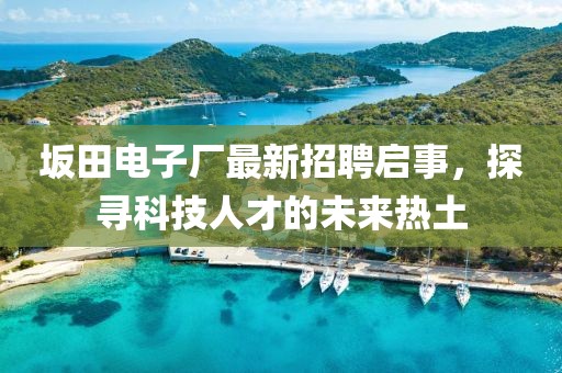坂田电子厂最新招聘启事，探寻科技人才的未来热土